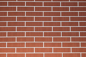 Бордо (бархат) 1 NF